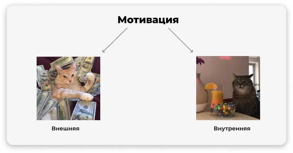 Внутренняя и внешняя мотивации