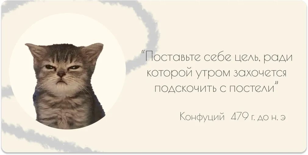 котенок с целью